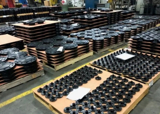 1/2-48 Stahlflansche der Klasse 900 für robuste Verbindungen und zuverlässige Leistung
