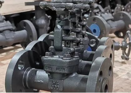Klasse 150 lb-1500 lb Stahlgatterventil mit verschraubter Motorhaube
