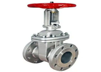 Customized OEM Sanitärstahl Torventil mit Einzel-Wadge Doppel-Wadge