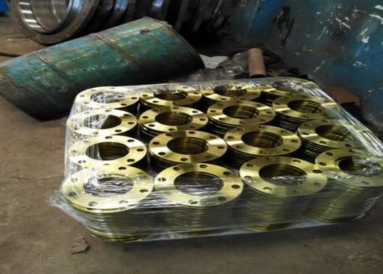 Steel Flange Ring Durable Corrosion Resistant Industrial Pipe Fitting Component