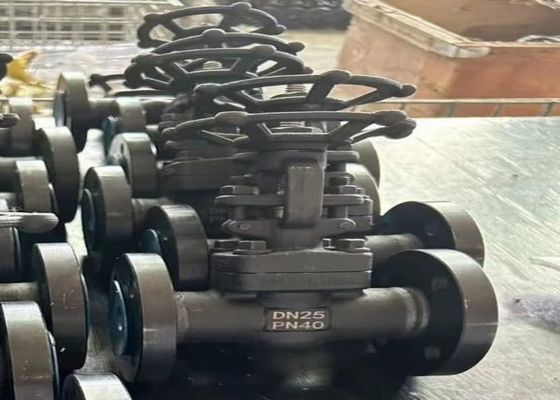 1/2 Zoll Stahlventile mit verschraubter Motorhaube und kundenspezifischer Unterstützung