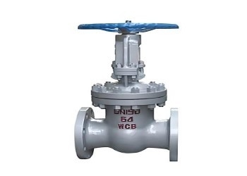 Handbetätigtes Stahl-Schieberventil DN10-DN50 Hochdruck, verschraubter Deckel