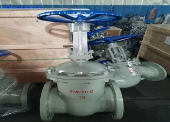 Manuelle Einzelkeil-Edelstahl-Schmetterlingsklappe DN10-DN50