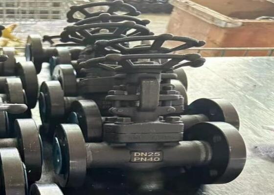 Manuelles Stahltorventil mit verschraubter Motorhaube DN10-DN50 150lb-1500lb hohe Korrosionsbeständigkeit